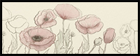 How to Draw Poppies
