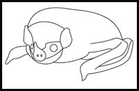 How to Draw a Honduran White Bat