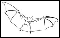 How to Draw a Ghost Bat