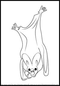 How to Draw a Greater False Vampire Bat