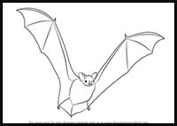 Bat Drawing by Lucy D - Pixels