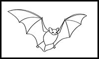 How to Draw a Little Brown Bat