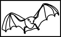 How to Draw a Sheath-Tailed Bat
