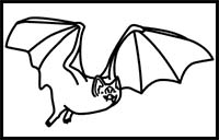 How to Draw a Vampire Bat