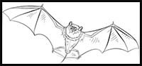 How to Draw a Realistic Bat