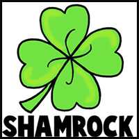 How to Draw a Four Leaf Clover or Shamrocks for Saint Patricks Day