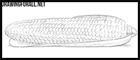 How to Draw a Corn