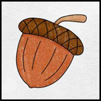 Draw an Acorn