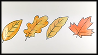 How to Draw Autumn or Fall Leaves Real Easy
