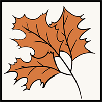 How to Draw Fall Oak Leaves