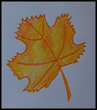 How to Draw a Beautiful Maple Leaf - Autumn Leaf