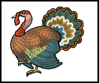 How to Draw a Thanksgiving Turkey