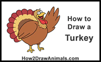 How to Draw a Turkey (Cartoon)
