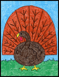 How to Draw a Turkey
