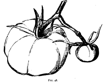 How to Shade and Highlight