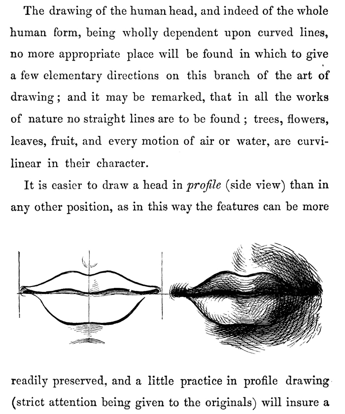 human noses profile