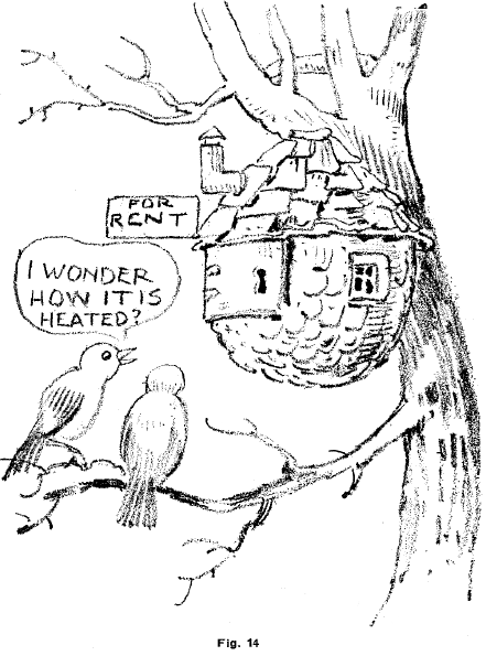 Cartooning Animals and Birds