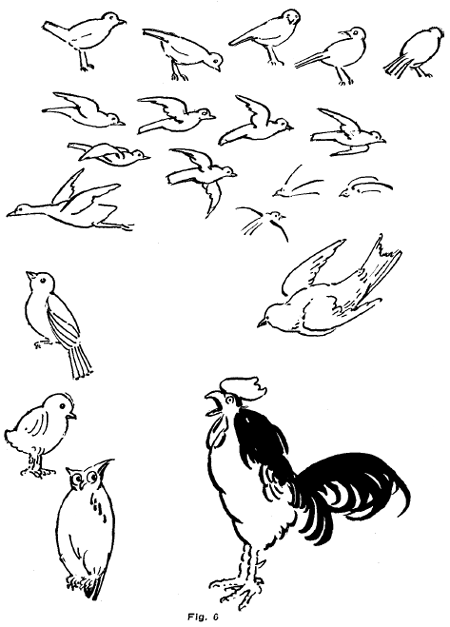 drawing birds, roosters, owls, chickens
