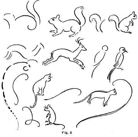 drawing rodents and squirrels and and deer cats