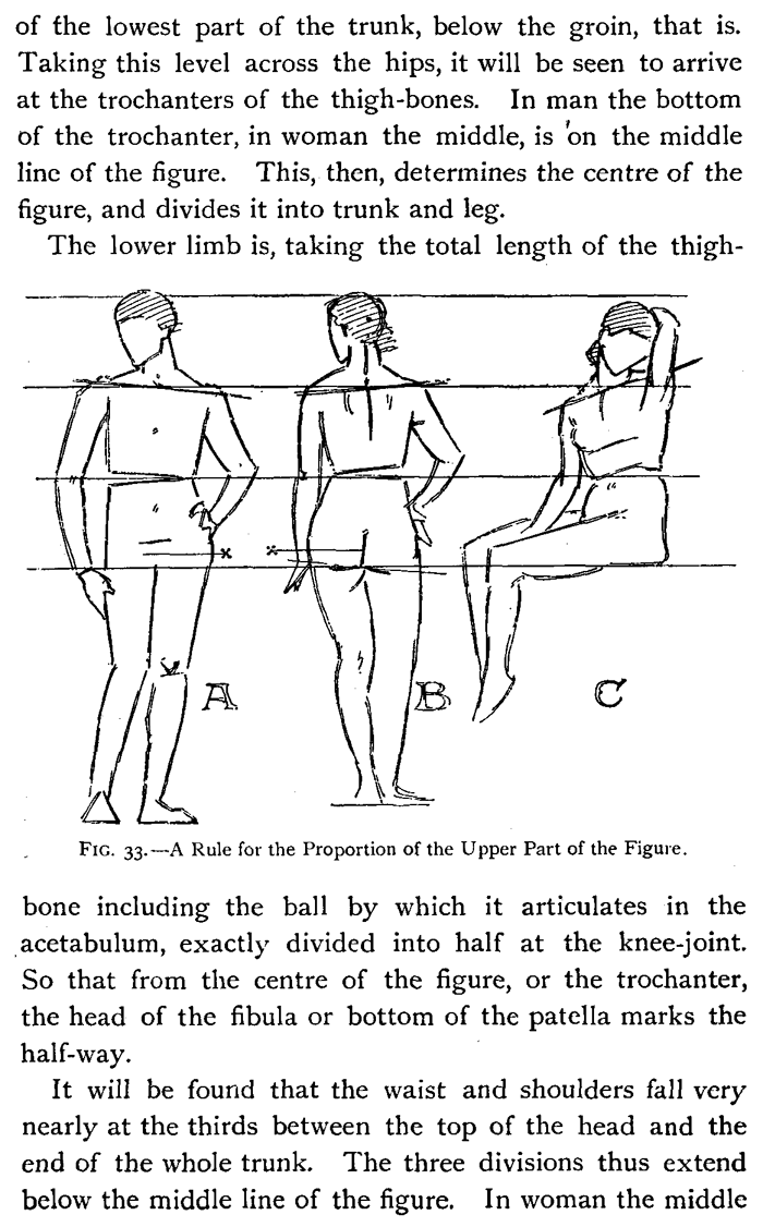 rule for proportion of upper part of human figure