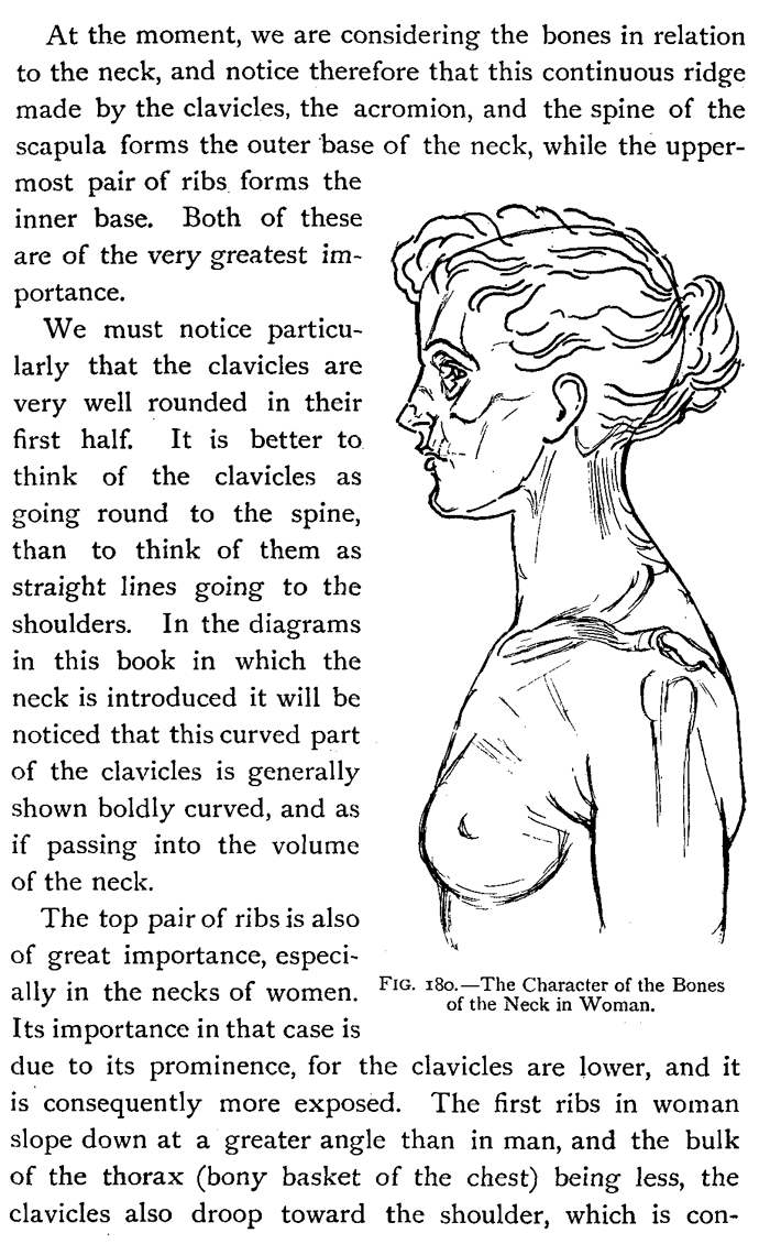 Drawing the character of the bones of a woman