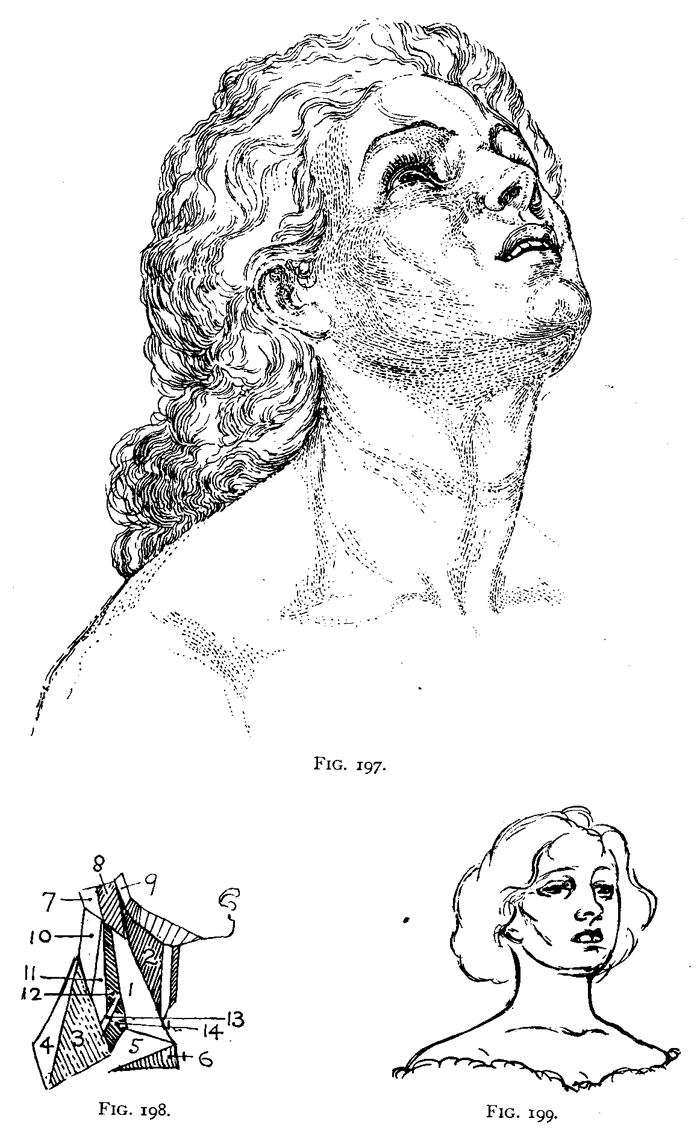 drawing necks