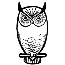 How to Draw Owls