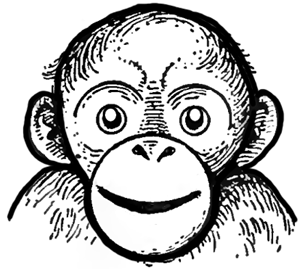 How to Draw Chimps ( Chimpanzees ) Drawing Lessons