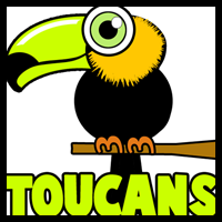 How to Draw Cartoon Toucans with Easy Steps