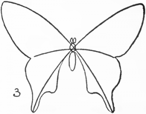 Butterfly Drawing Easy Methods : How to Draw Butterflies Step by Step