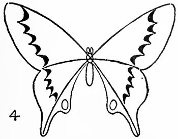 Butterfly Drawing Easy Methods : How to Draw Butterflies Step by Step