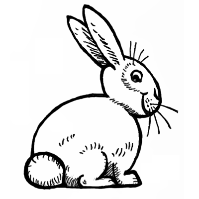 draw cartoon rabbits Archives - How to Draw Step by Step Drawing Tutorials