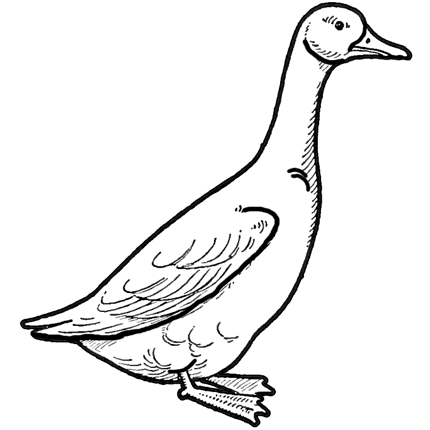 Drawing a Goose : How to Draw Geese Step by Step Tutorial – How to Draw ...