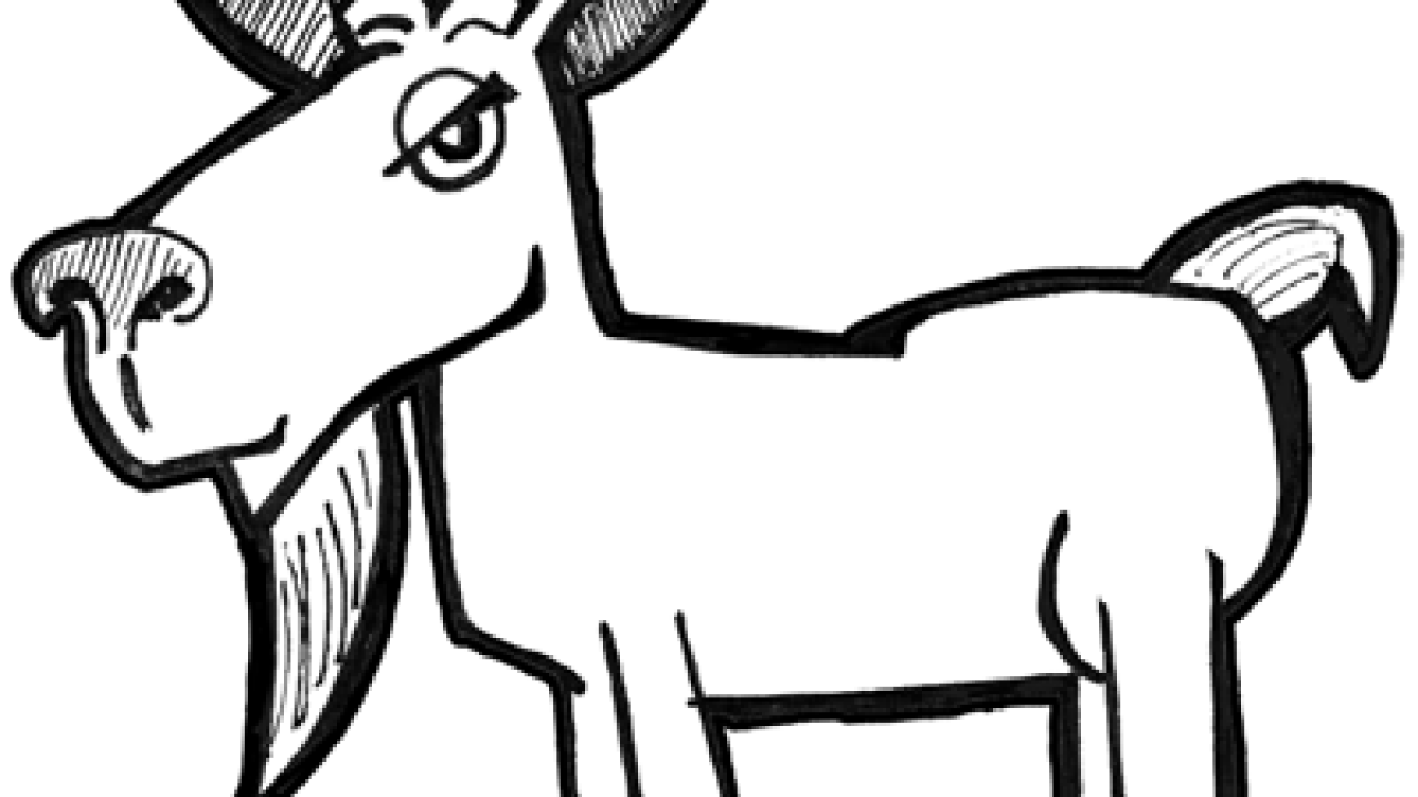 How to Draw Cartoon Billy Goats with Simple Drawing Tutorial - How to Draw  Step by Step Drawing Tutorials