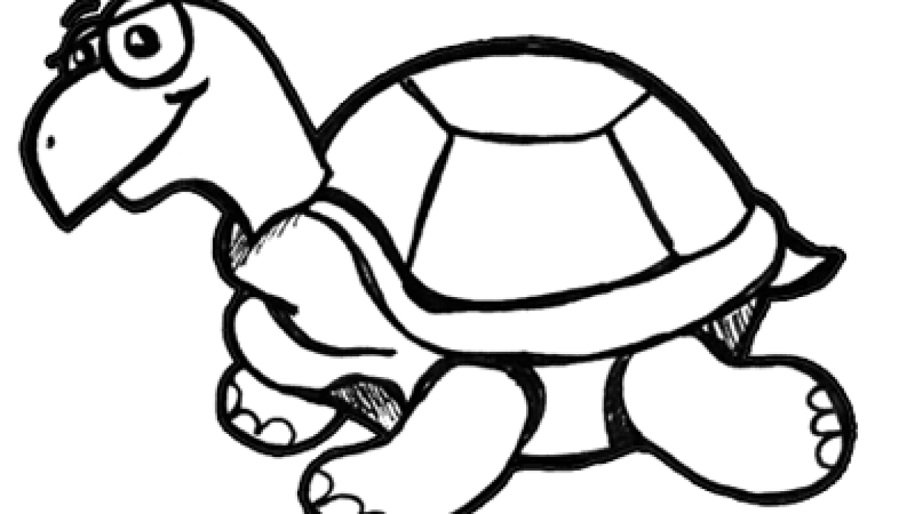 How to Draw Cartoon Turtles with Easy to Follow Drawing Lesson - How to Draw  Step by Step Drawing Tutorials