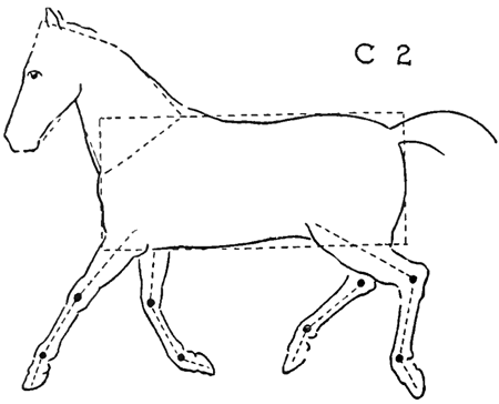 How to Draw Horses with Easy Step by Step Drawing Lessons ...