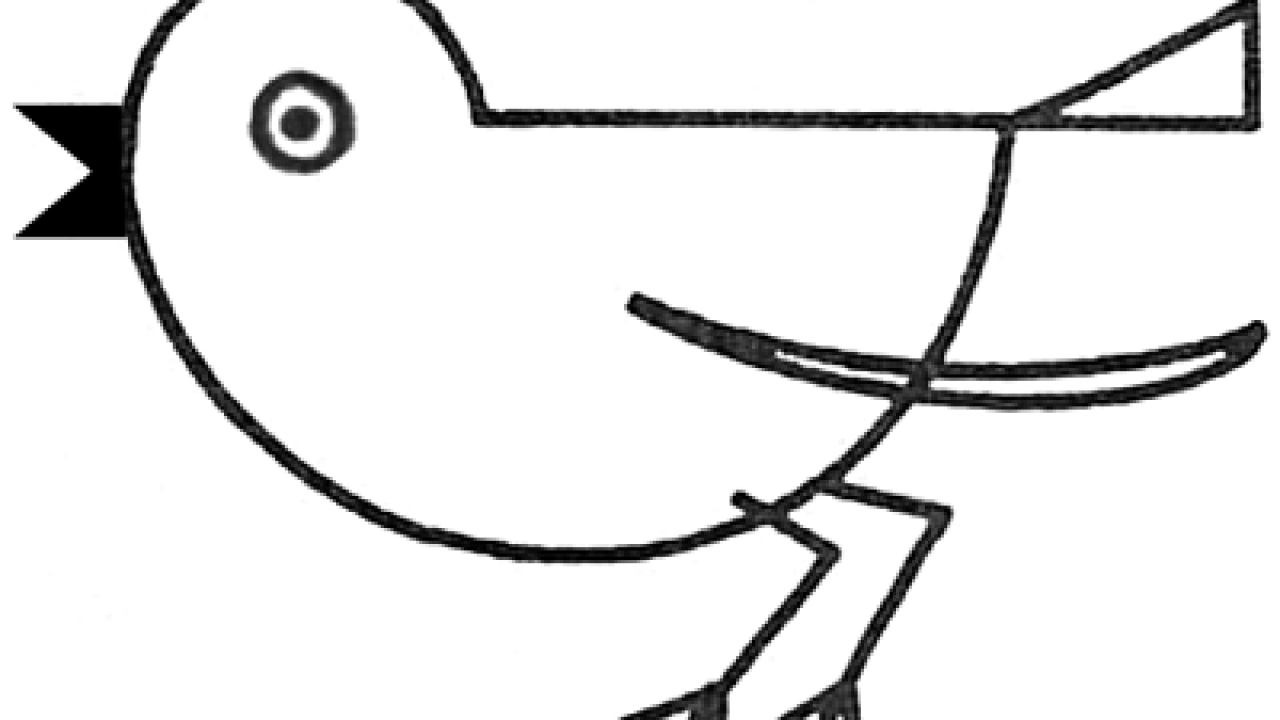 How to draw a bird - Wilder