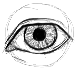 Step 7 : Drawing Realistic Eyes with Simple Steps