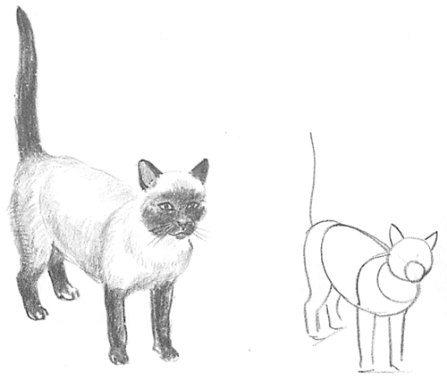 Guide To Drawing Cats Kittens With Step By Step Instructional Tutorial Lesson How To Draw Step By Step Drawing Tutorials