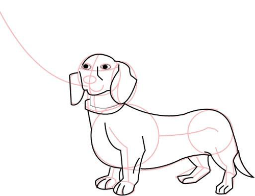 Step 6 : Drawing Barbie's Dauchund Dog on a Leash