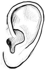 Step 7 : Drawing Ears Step by Step Tutorial