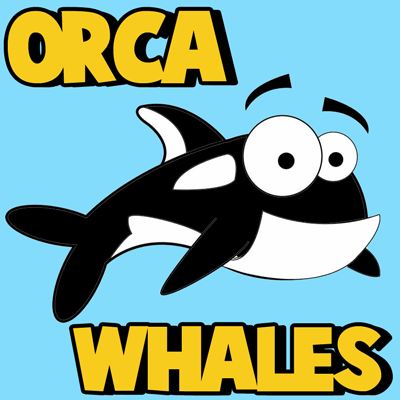 How to Draw Cartoon Orca Whales with Easy Step by Step Drawing Lesson for Kids and Others