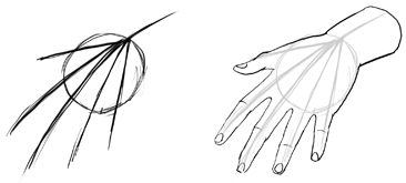 How to Draw Hands and Fingers in Manga Anime Illustration Style : Drawing  Tutorial - How to Draw Step by Step Drawing Tutorials