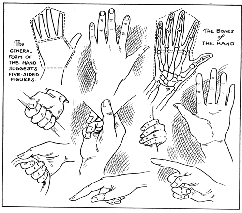 How to Draw Hands Poses: Quick Reference - Liron Yanconsky