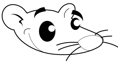 Step 2 : Drawing Opposum in Easy Steps Drawign Tutorial for Kids