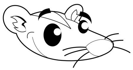 Step 3 : Drawing Opposum in Easy Steps Drawign Tutorial for Kids