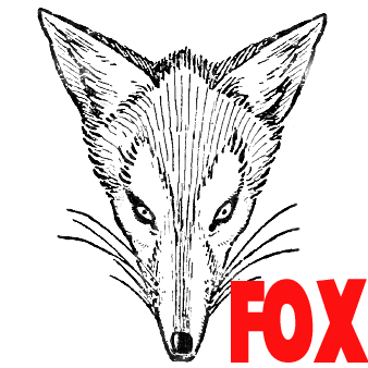 How To Draw Foxes Heads Easy Step By Step Drawing Tutorial How To Draw Step By Step Drawing Tutorials