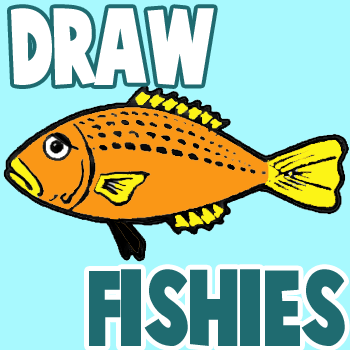 How to Draw Fish in Easy to Follow Step by Step Drawing Tutorial