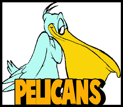 How to Draw Cartoon Pelicans Step by Step Drawing Tutorial
