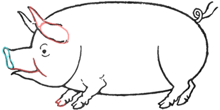 Drawing Pigs